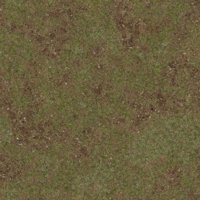 Asset preview